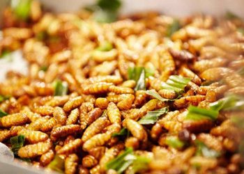 một số lưu ý cần thiết trong quá trình sử dụng 