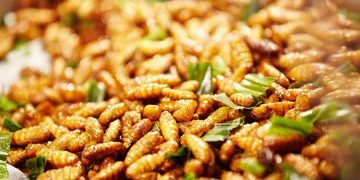 một số lưu ý cần thiết trong quá trình sử dụng 