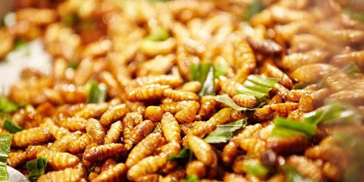 một số lưu ý cần thiết trong quá trình sử dụng