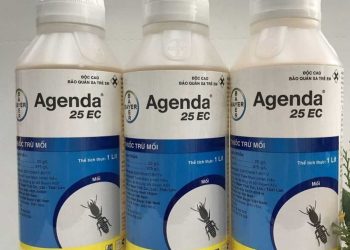 Thuốc diệt con mối là sản phẩm chuyên dụng được dùng để tiêu diệt