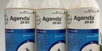 Thuốc diệt con mối là sản phẩm chuyên dụng được dùng để tiêu diệt