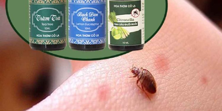 Cách diệt rệp bằng tinh dầu chi tiết