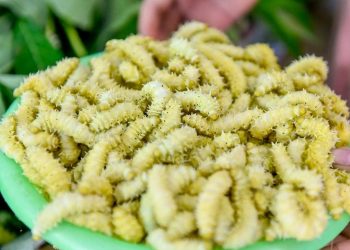 Cách bảo quản tơ sau khi hoàn thành