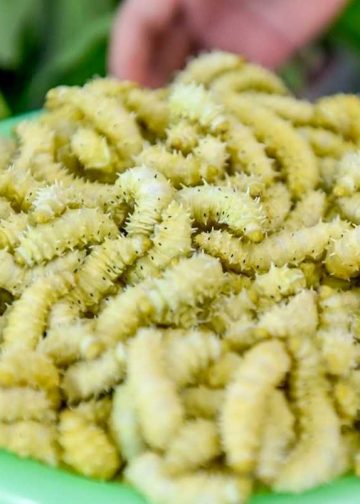 Cách bảo quản tơ sau khi hoàn thành