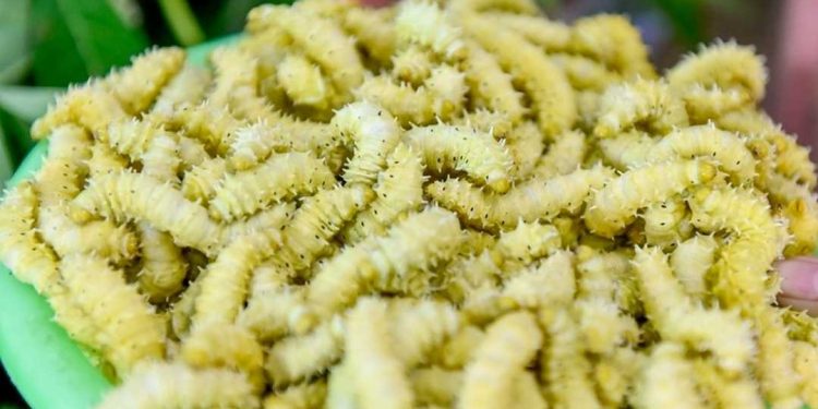 Cách bảo quản tơ sau khi hoàn thành